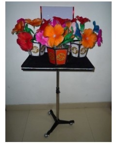ms-fm03